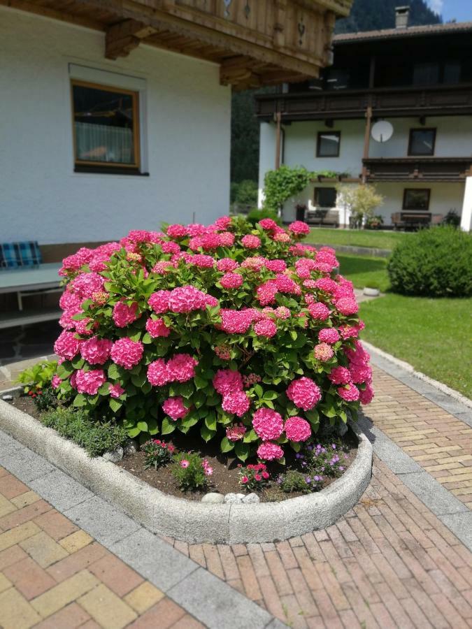 Hotel Haus Wildauer Mayrhofen Exterior foto